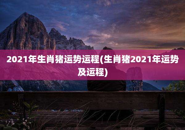 2021年生肖猪运势运程(生肖猪2021年运势及运程)