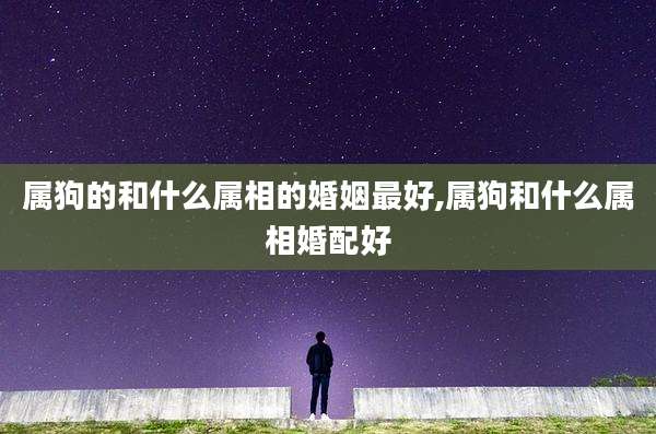 属狗的和什么属相的婚姻最好,属狗和什么属相婚配好