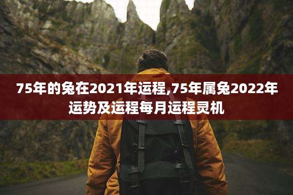 75年的兔在2021年运程,75年属兔2022年运势及运程每月运程灵机