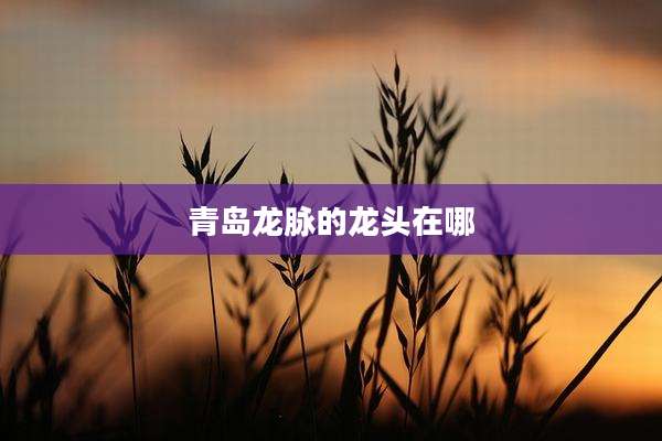 青岛龙脉的龙头在哪