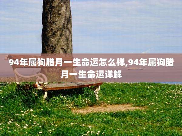 94年属狗腊月一生命运怎么样,94年属狗腊月一生命运详解