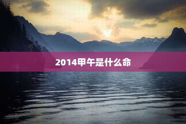 2014甲午是什么命