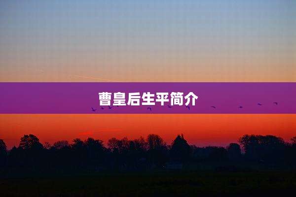 曹皇后生平简介