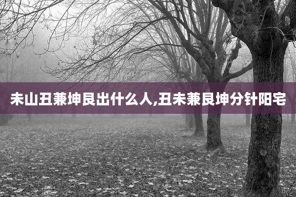 未山丑兼坤艮出什么人,丑未兼艮坤分针阳宅