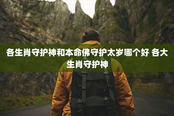 各生肖守护神和本命佛守护太岁哪个好 各大生肖守护神