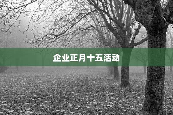 企业正月十五活动