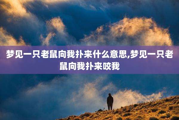 梦见一只老鼠向我扑来什么意思,梦见一只老鼠向我扑来咬我