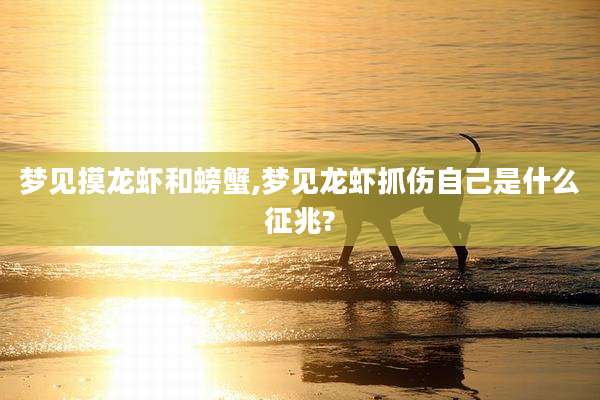 梦见摸龙虾和螃蟹,梦见龙虾抓伤自己是什么征兆?