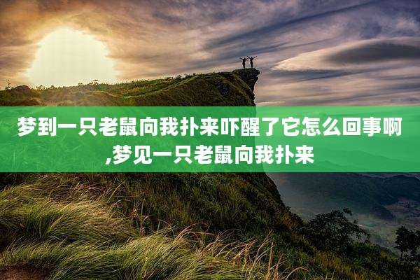 梦到一只老鼠向我扑来吓醒了它怎么回事啊,梦见一只老鼠向我扑来
