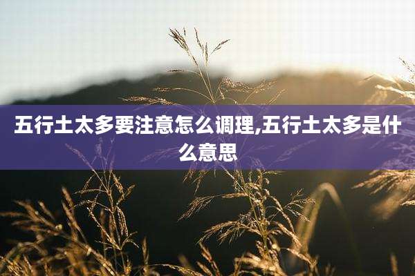 五行土太多要注意怎么调理,五行土太多是什么意思