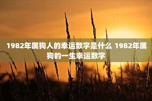 1982年属狗人的幸运数字是什么 1982年属狗的一生幸运数字
