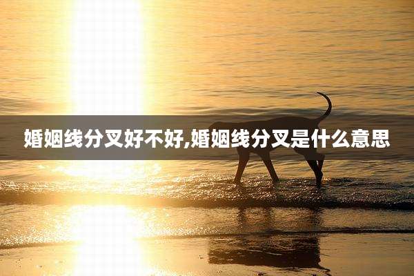 婚姻线分叉好不好,婚姻线分叉是什么意思