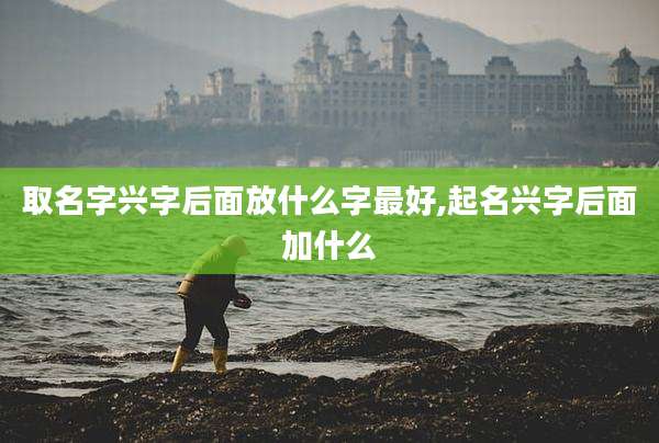 取名字兴字后面放什么字最好,起名兴字后面加什么