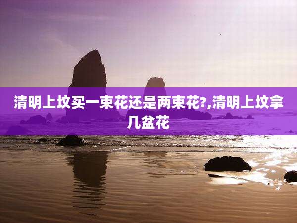 清明上坟买一束花还是两束花?,清明上坟拿几盆花