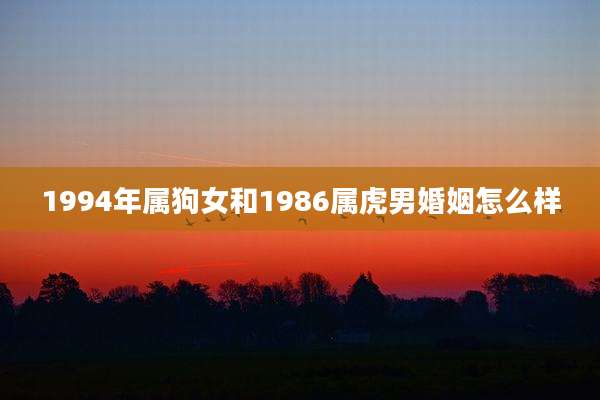 1994年属狗女和1986属虎男婚姻怎么样