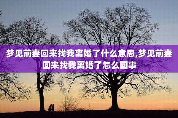 梦见前妻回来找我离婚了什么意思,梦见前妻回来找我离婚了怎么回事