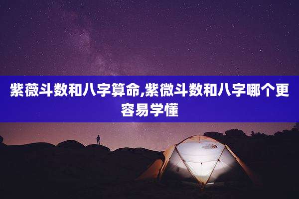 紫薇斗数和八字算命,紫微斗数和八字哪个更容易学懂