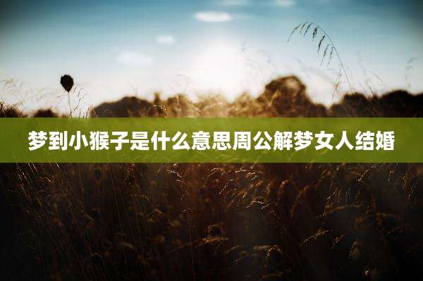 梦到小猴子是什么意思周公解梦女人结婚