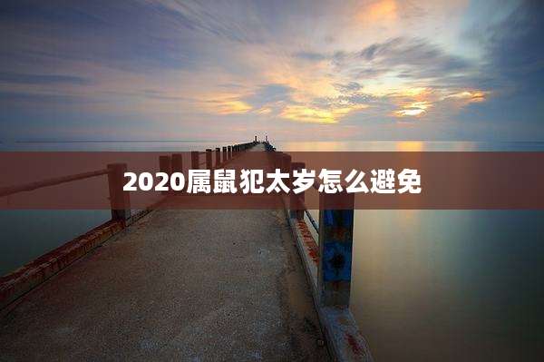 2020属鼠犯太岁怎么避免