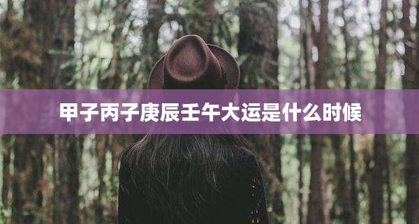 甲子丙子庚辰壬午大运是什么时候