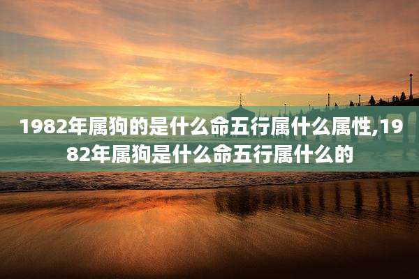 1982年属狗的是什么命五行属什么属性,1982年属狗是什么命五行属什么的