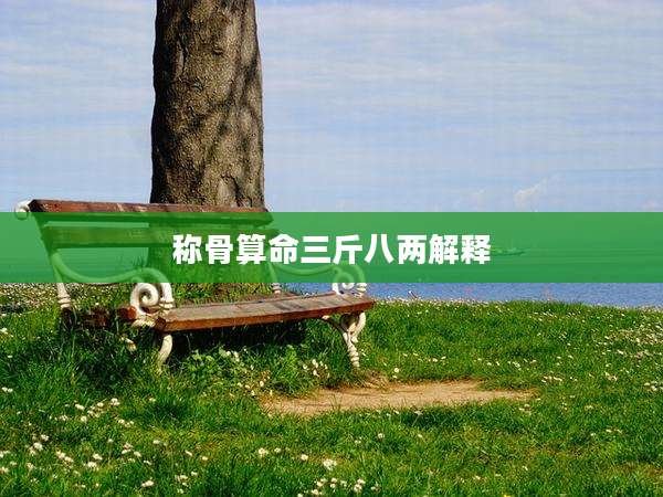 称骨算命三斤八两解释