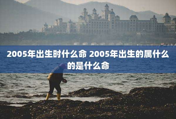 2005年出生时什么命 2005年出生的属什么的是什么命