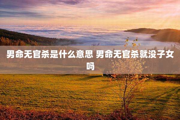 男命无官杀是什么意思 男命无官杀就没子女吗