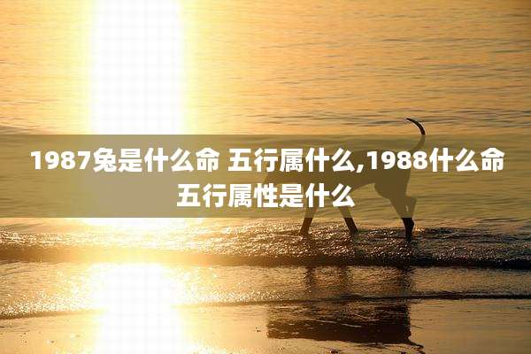 1987兔是什么命 五行属什么,1988什么命五行属性是什么