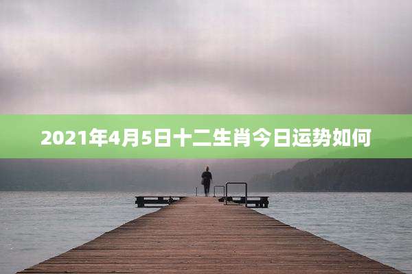 2021年4月5日十二生肖今日运势如何
