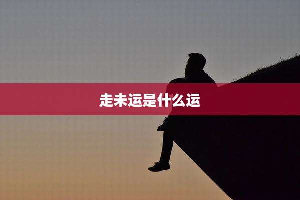 走未运是什么运