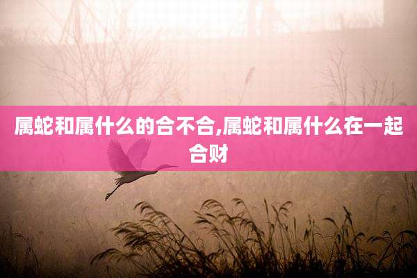 属蛇和属什么的合不合,属蛇和属什么在一起合财