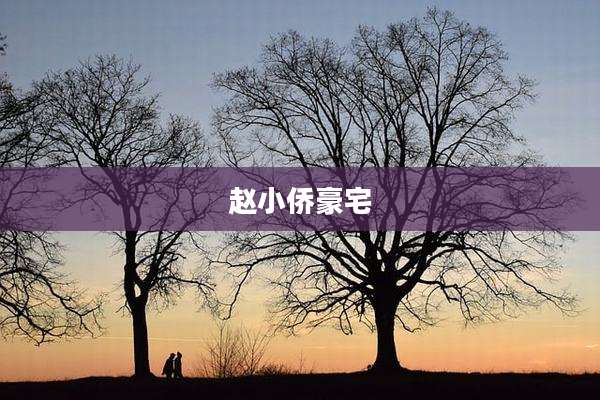 赵小侨豪宅