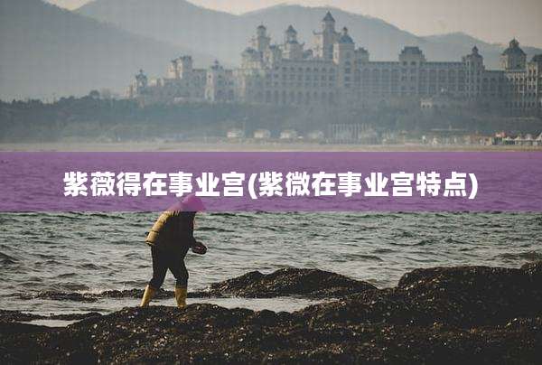 紫薇得在事业宫(紫微在事业宫特点)