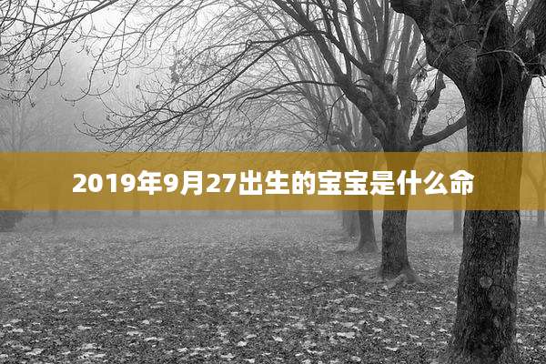 2019年9月27出生的宝宝是什么命