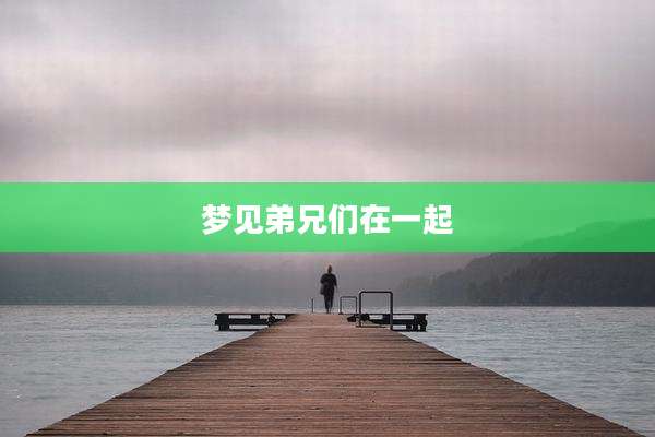 梦见弟兄们在一起