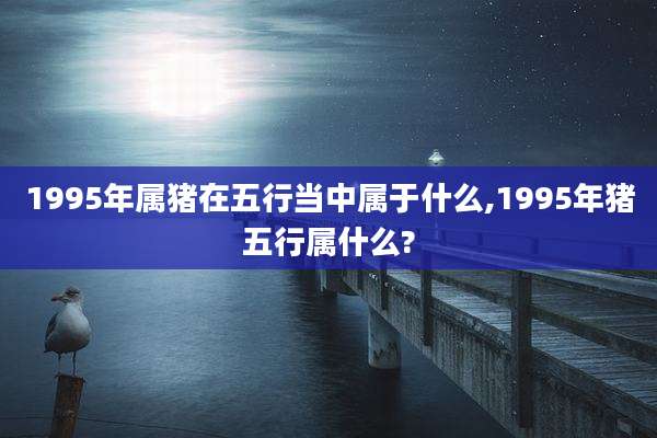 1995年属猪在五行当中属于什么,1995年猪五行属什么?
