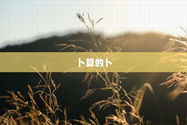 卜算的卜