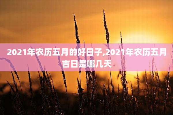 2021年农历五月的好日子,2021年农历五月吉日是哪几天
