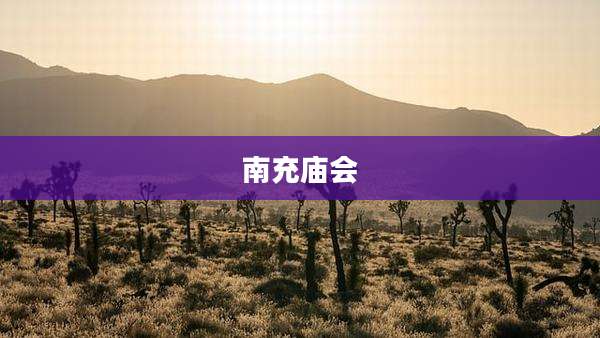 南充庙会
