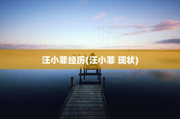 汪小菲经历(汪小菲 现状)