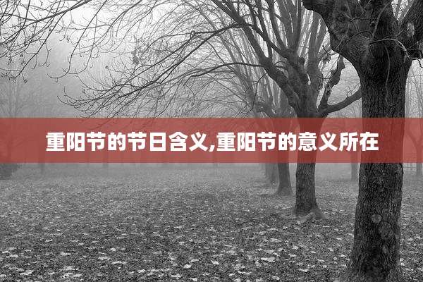 重阳节的节日含义,重阳节的意义所在