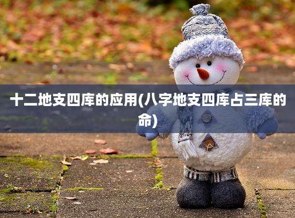 十二地支四库的应用(八字地支四库占三库的命)