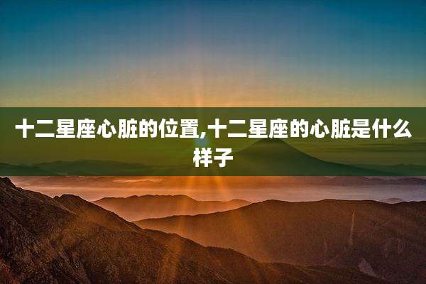 十二星座心脏的位置,十二星座的心脏是什么样子