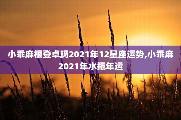 小乖麻根登卓玛2021年12星座运势,小乖麻2021年水瓶年运