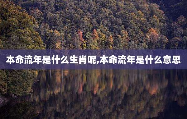 本命流年是什么生肖呢,本命流年是什么意思