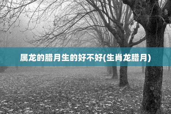 属龙的腊月生的好不好(生肖龙腊月)