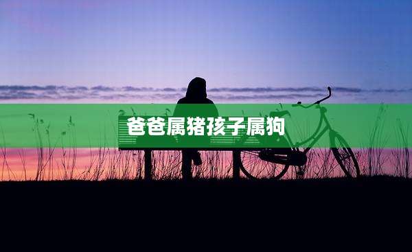 爸爸属猪孩子属狗