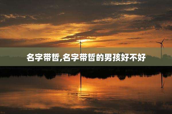 名字带哲,名字带哲的男孩好不好