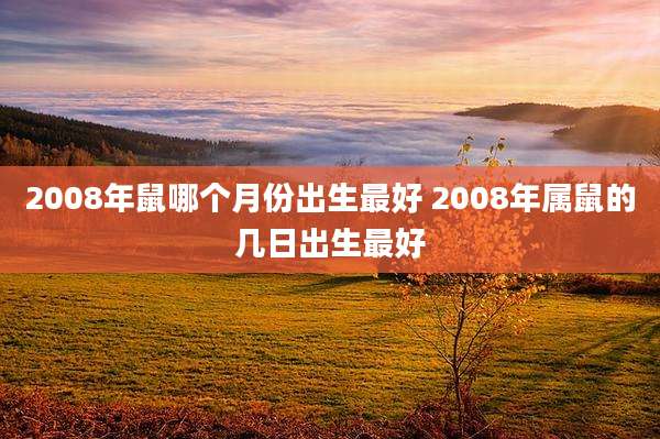 2008年鼠哪个月份出生最好 2008年属鼠的几日出生最好